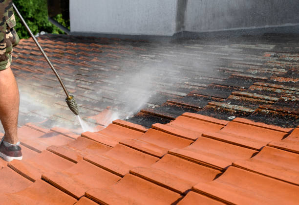 Best House Pressure Washing  in Thompson Falls, MT