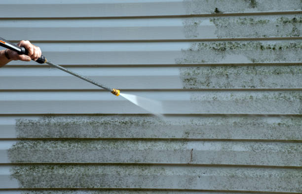Best Residential Pressure Washing Services  in Thompson Falls, MT