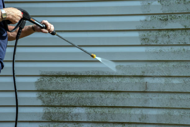 Best Affordable Pressure Washing  in Thompson Falls, MT