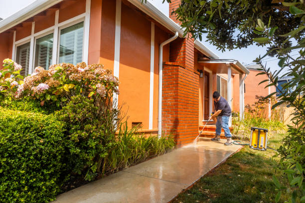 Best Deck Cleaning Services  in Thompson Falls, MT